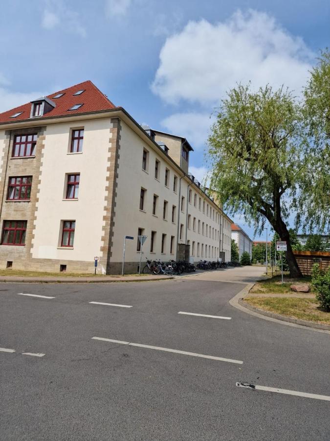 Guest house Unterkunft Greifswald